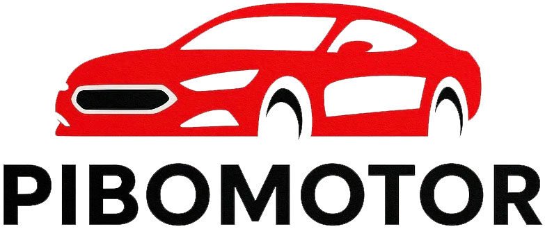 PIBO MOTOR